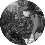 Appletreeman's Nursery