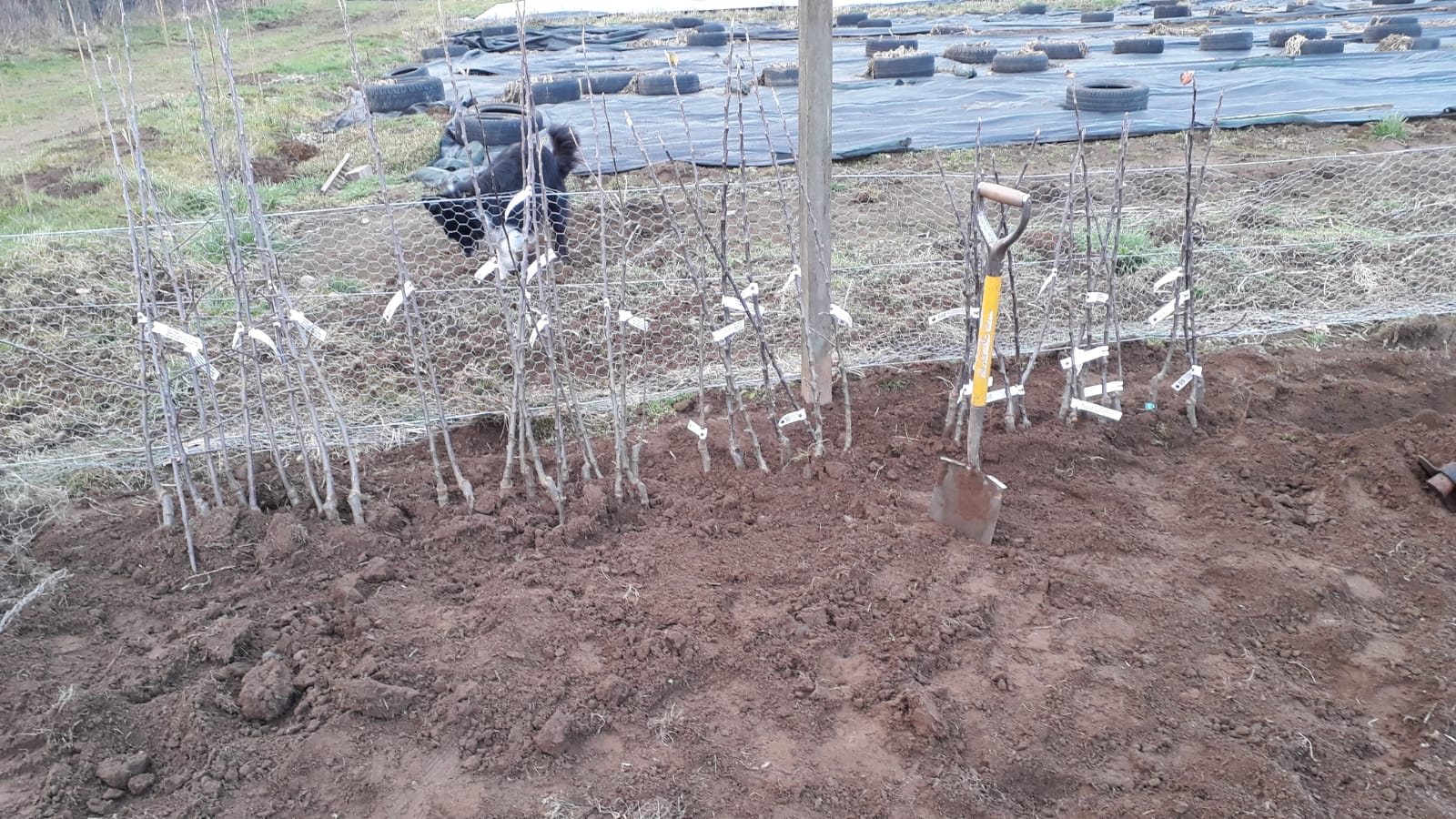 1b0c4787-d0d2-4273-a3fc-3008d7111c64