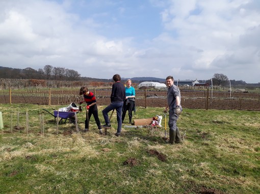 Fruit Tree Workshop Image 1 1000